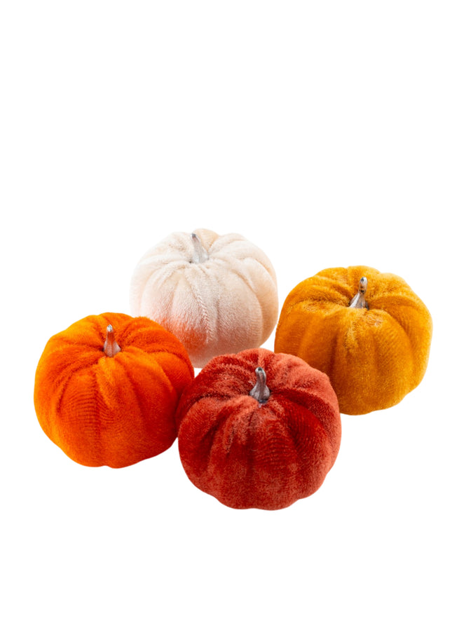 Mixed Velvet Pumpkins - 4 Pack