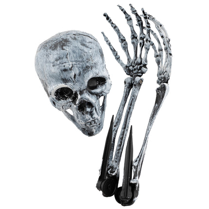 Box of Bones Set