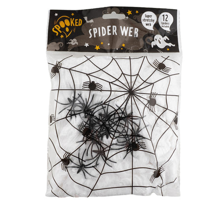 Spider Web with Spiders