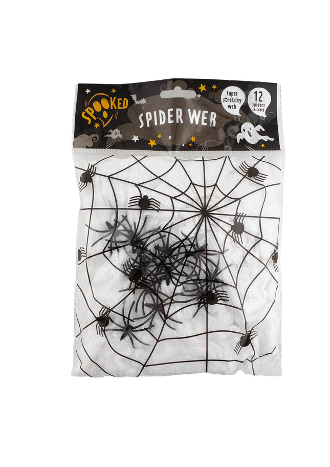 Spider Web with Spiders