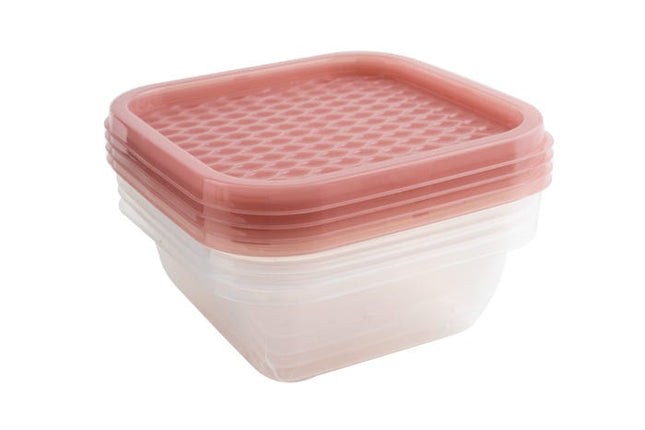 get fresh containers pink pack of 4