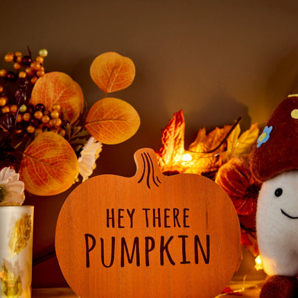 Pumpkin Wooden Signs 3 Assorted