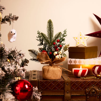 Traditional Christmas Plant in Jute Wrap