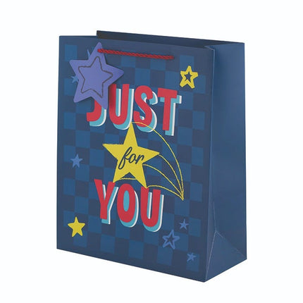 father s day gift bag for dad