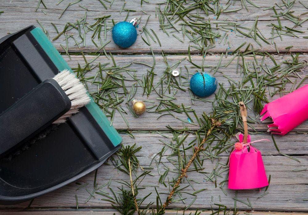 Everything You Need for The Big Christmas Clean