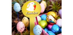 How To Throw an Easter Egg Hunt at Home