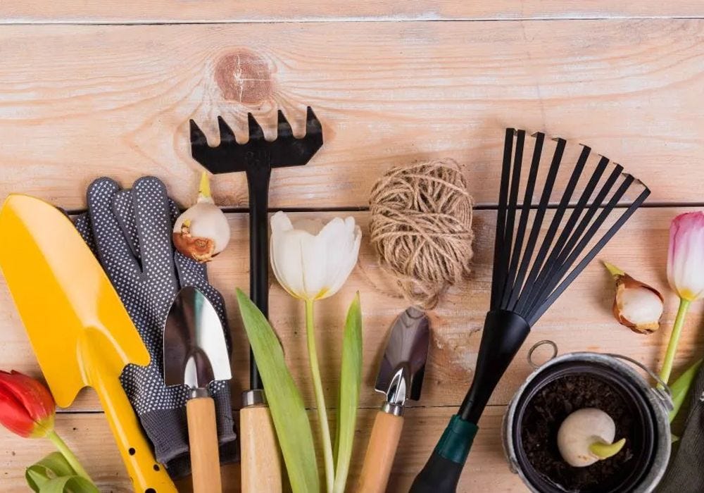 Gardening Essentials Every Gardener Needs