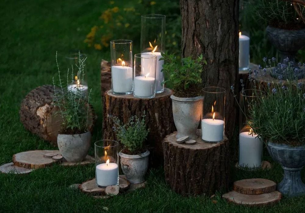 Green-Thumbed Gifts: The Best Gardening Presents for Every Plant Lover