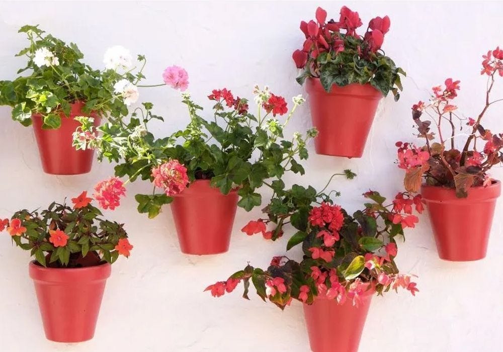 Transform Your Garden on a Budget: Easy & Affordable Garden Decor Ideas