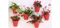 Transform Your Garden on a Budget: Easy & Affordable Garden Decor Ideas