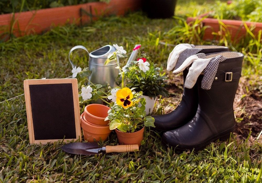 Affordable Front Garden Ideas for Maximum Kerb Appeal