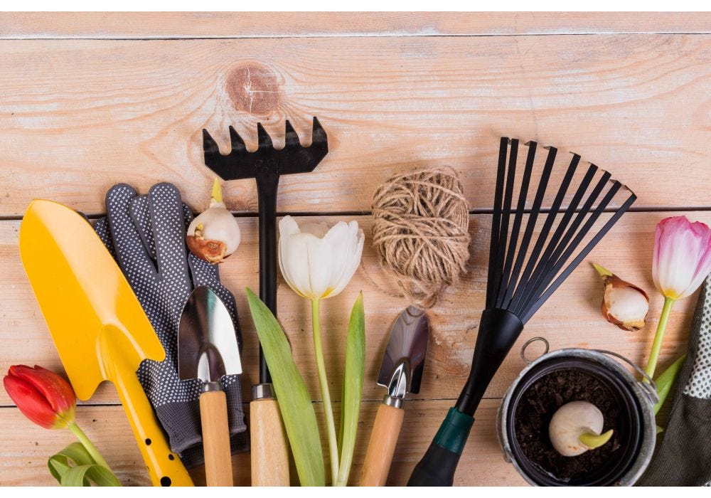 Gardening Essentials Every Gardener Needs