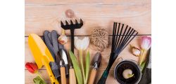 Gardening Essentials Every Gardener Needs