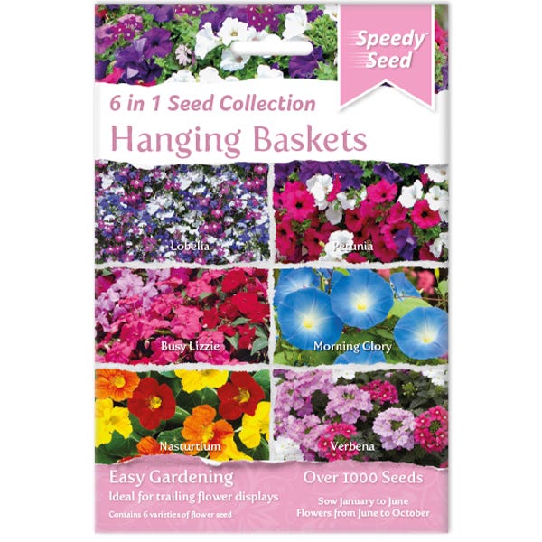 Hanging shop basket seeds
