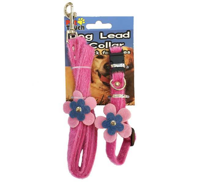 Poundland dog leads store