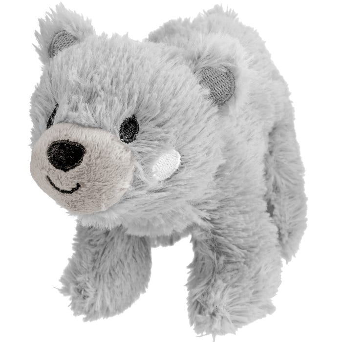 Poundland shop teddy bears